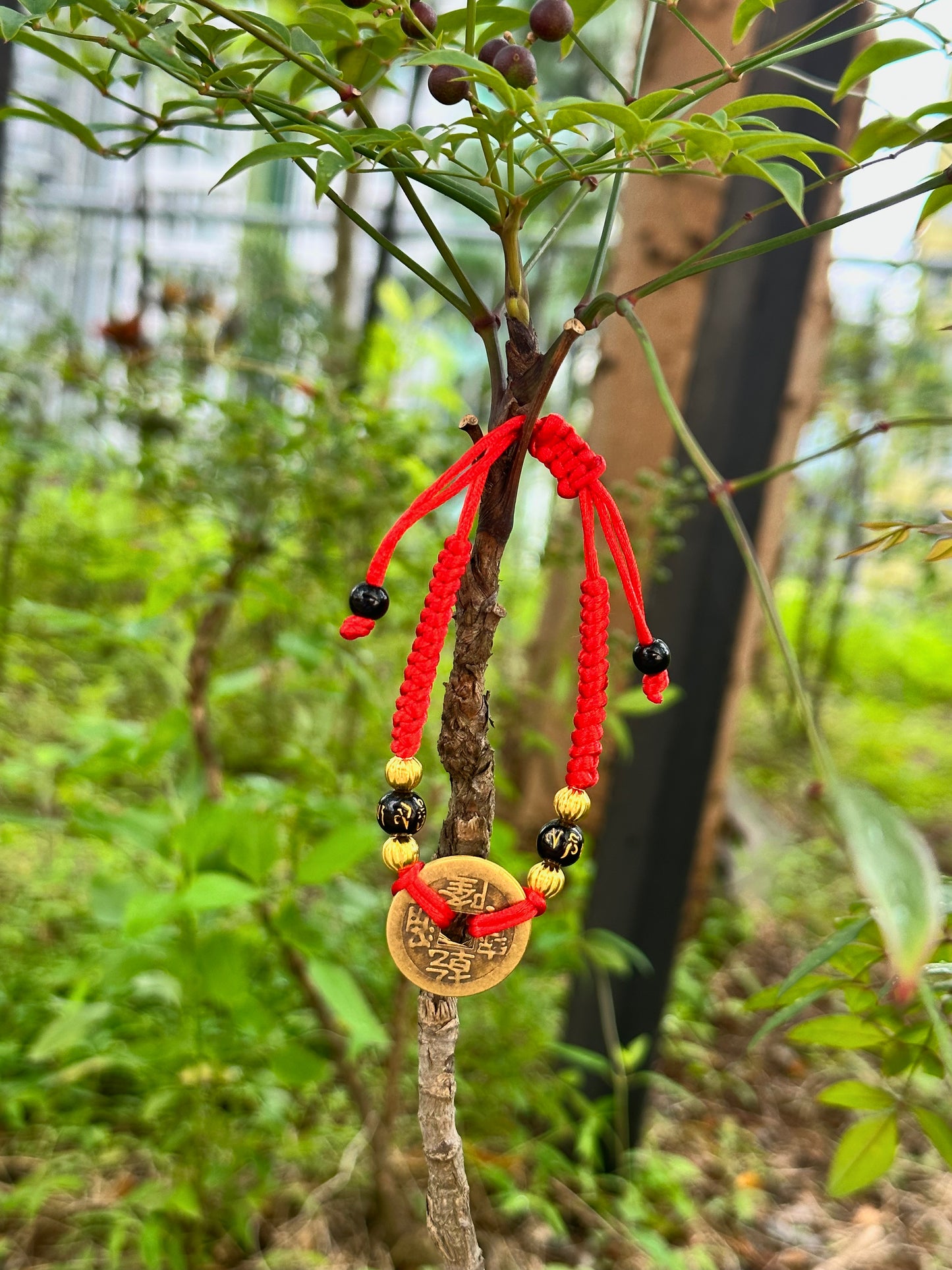 Feng Shui Protection Bracelet:Hand Braided Red Cord with Wu Di Qian Imperial Coins