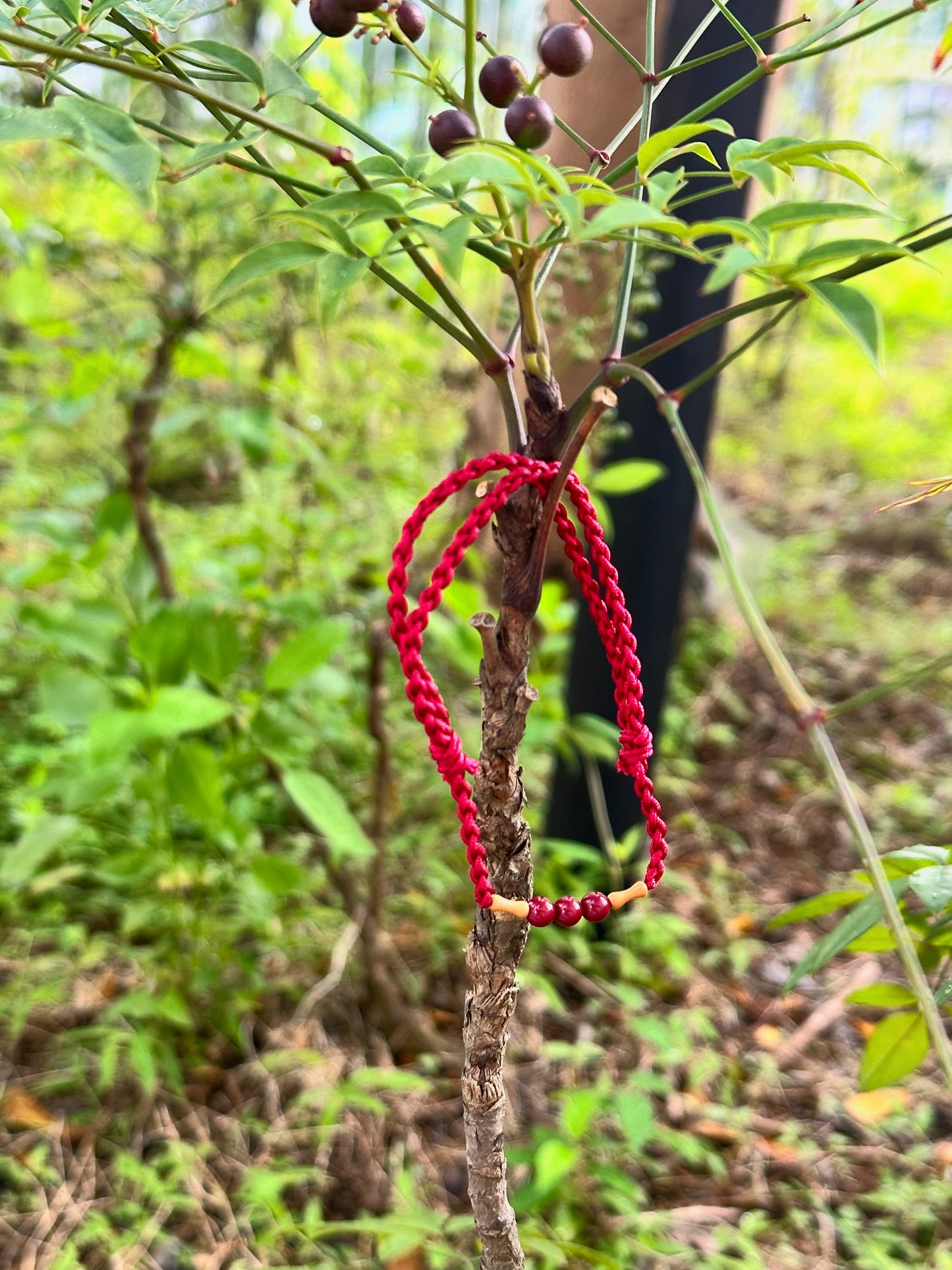 Peach Wood Bamboo-Joint Red String Bracelet with Cinnabar(Wards Off Evil Spirits)