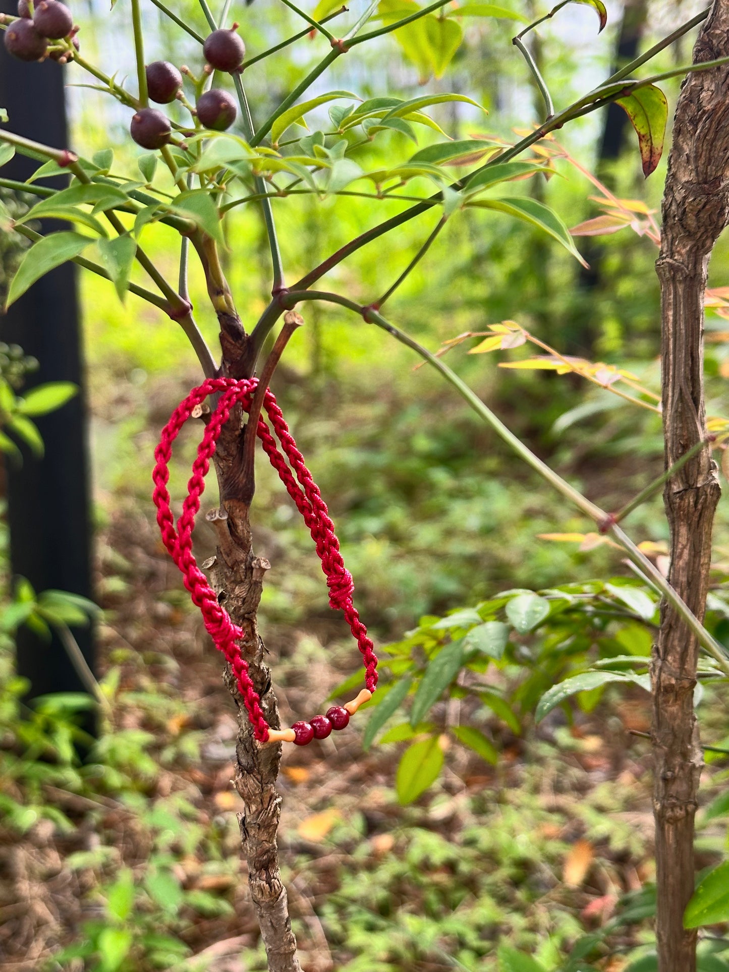 Peach Wood Bamboo-Joint Red String Bracelet with Cinnabar(Wards Off Evil Spirits)